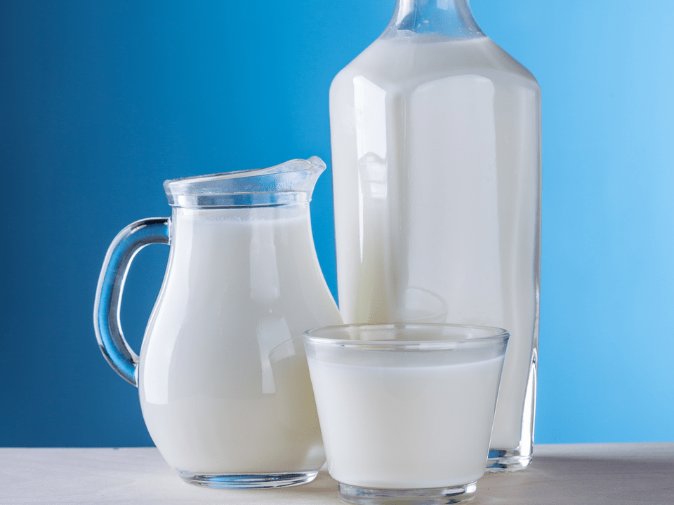 a tejtermékek képezik a kefir diéta alapját